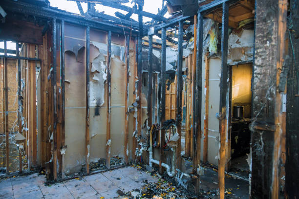 Professional Fire Damage Assessment technician working in Forest Heights, TX